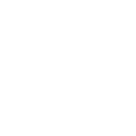 NaNoPro